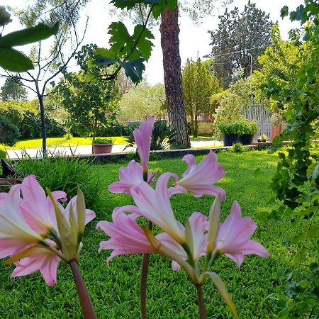 B&B Welcome Pedara Bagian luar foto
