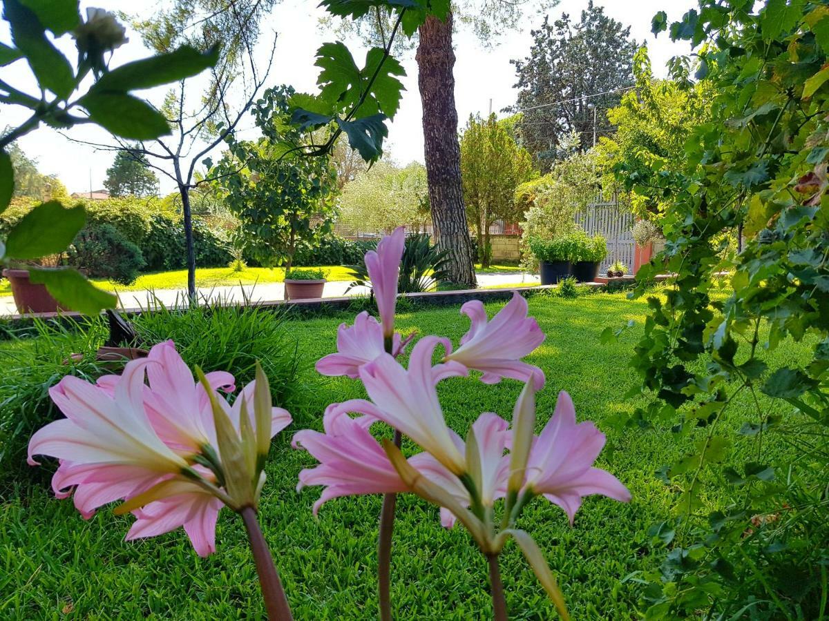 B&B Welcome Pedara Bagian luar foto