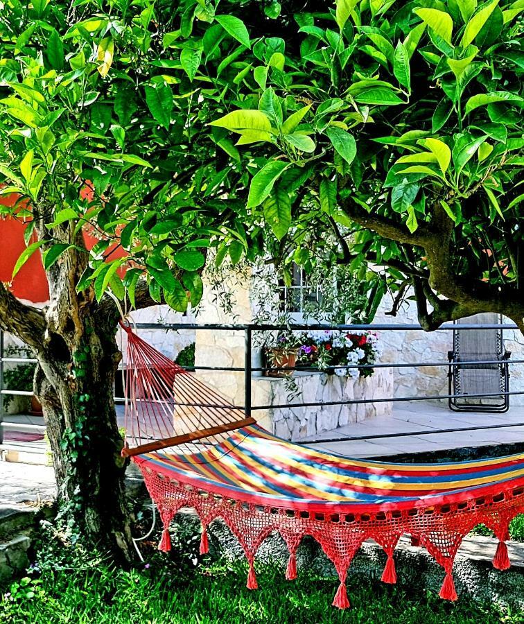 B&B Welcome Pedara Bagian luar foto